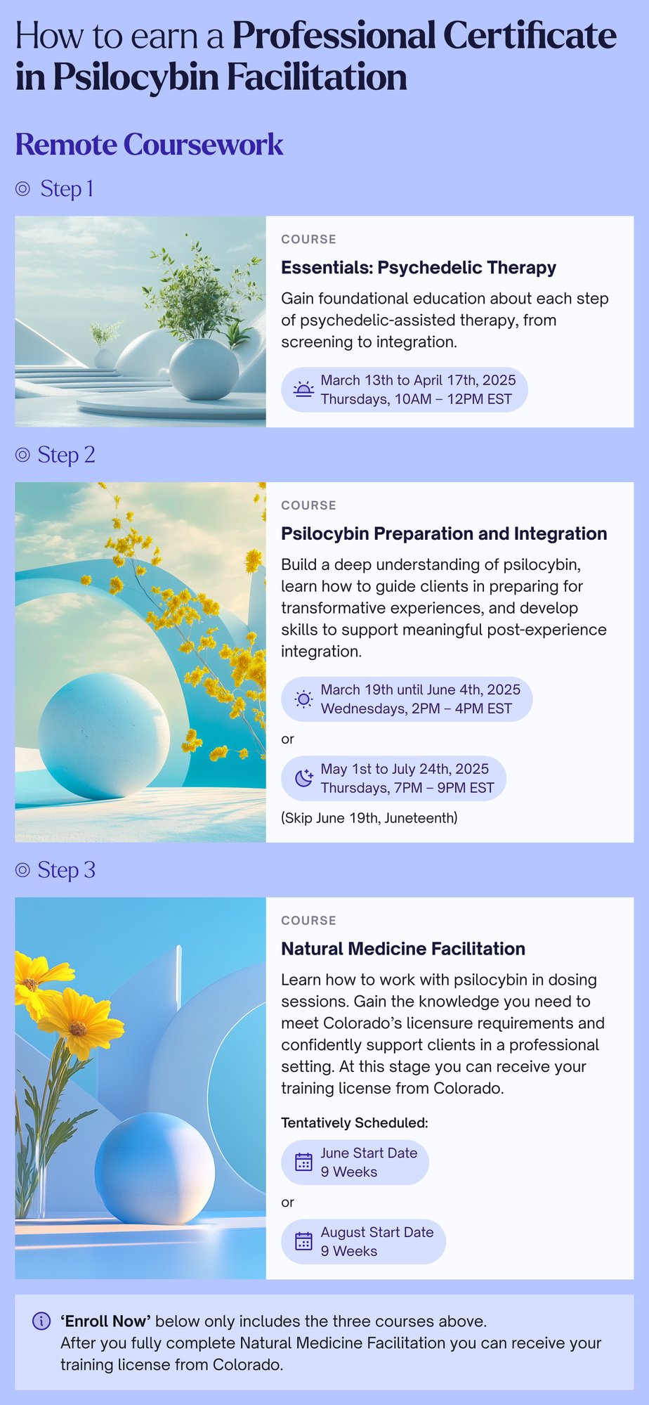 Psilocybin Facilitation Customer Journey - Pt 1-4