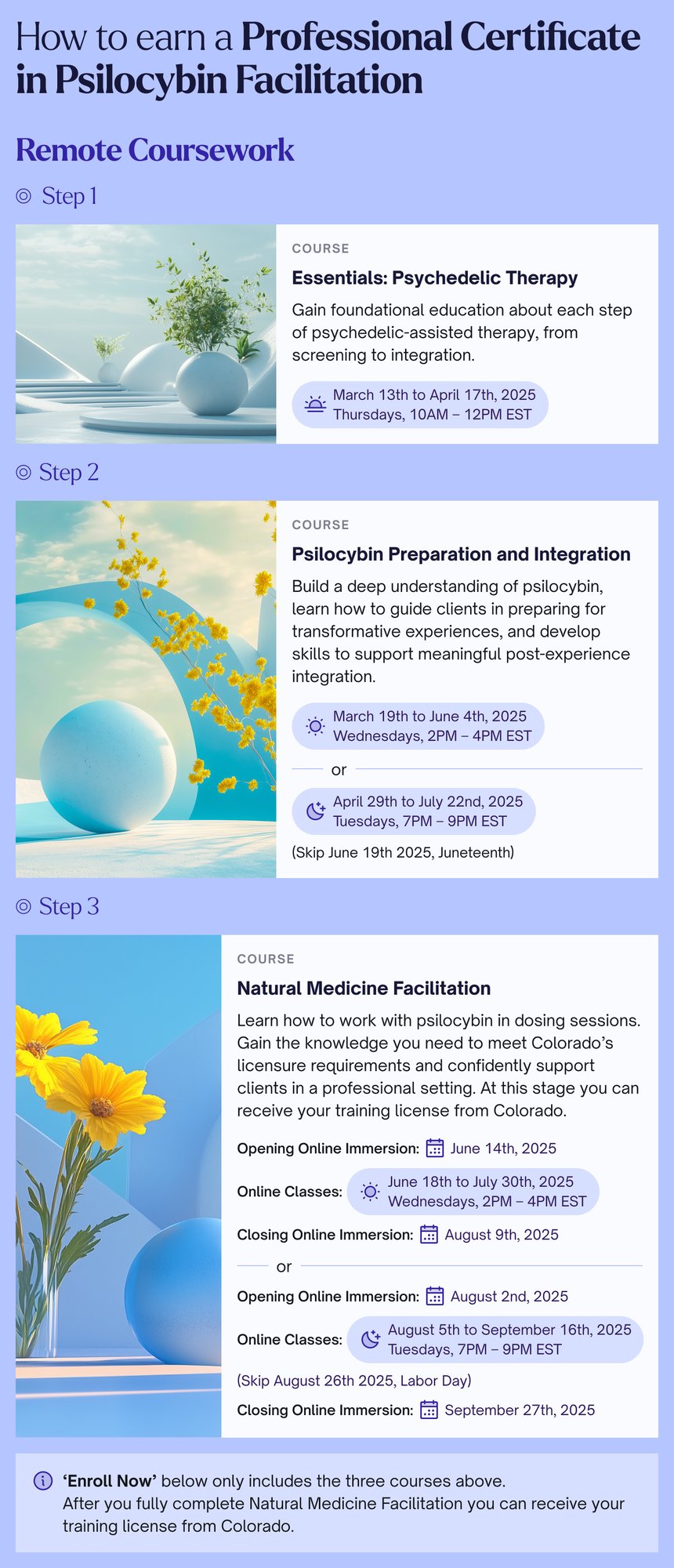 Psilocybin Facilitation Customer Journey - Pt 1-Jan-23-2025-03-11-10-1611-PM