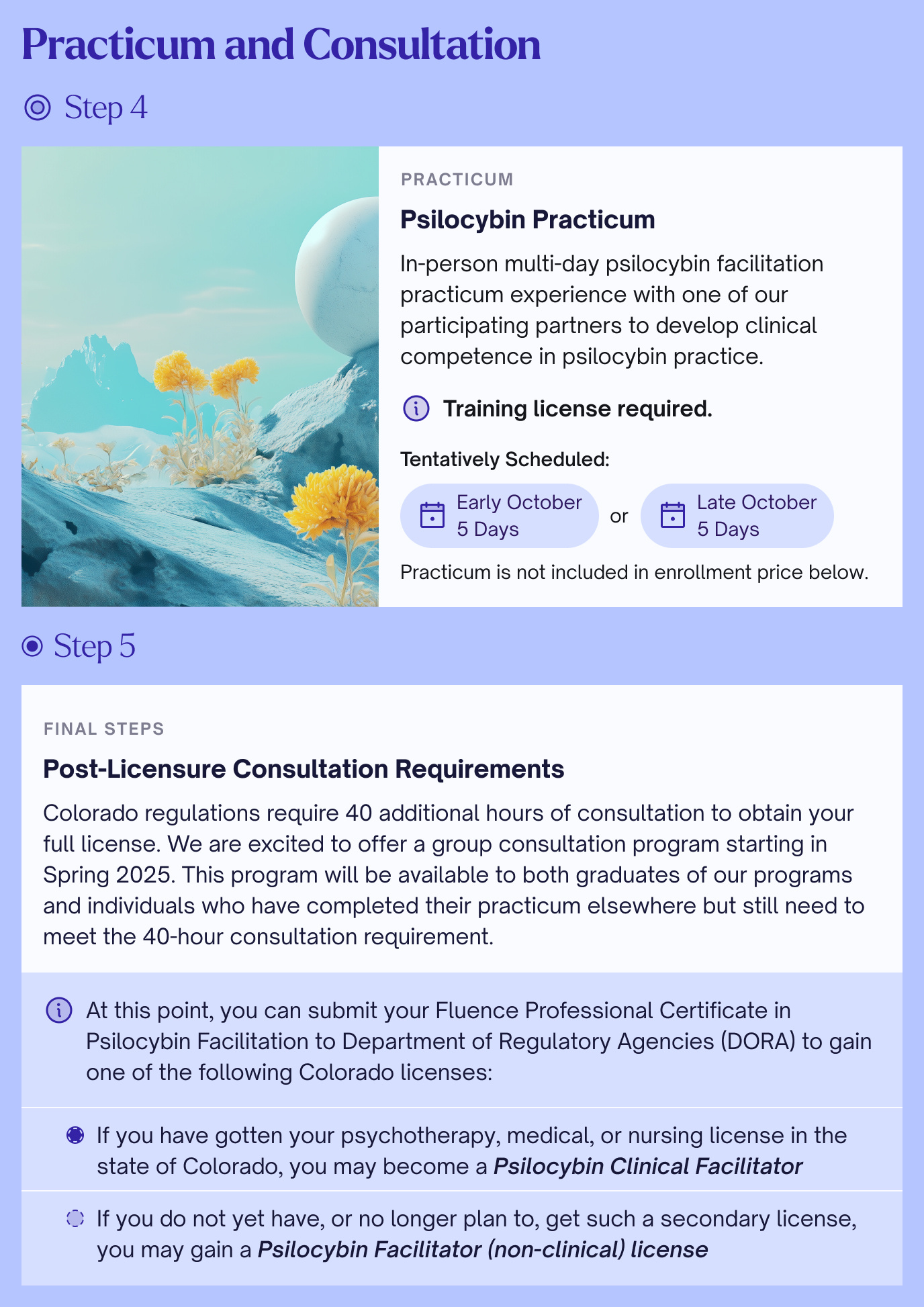 Psilocybin Facilitation Customer Journey - Pt 2-3